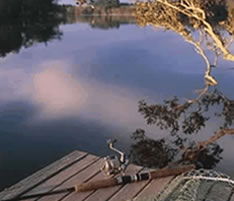 Jacaranda Country Lodge - Brisbane Tourism 4