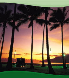 Bay Village Tropical Retreat, Cairns - Brisbane 4u 1