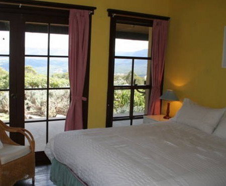 Glyn Newydd - Tourism Brisbane 5