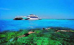 Port O' Call Eco Lodge - Tourism Brisbane 2