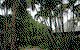 High Chaparral Motel And Apartments - thumb 1