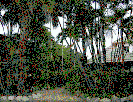 High Chaparral Motel And Apartments - Tourism Brisbane 1