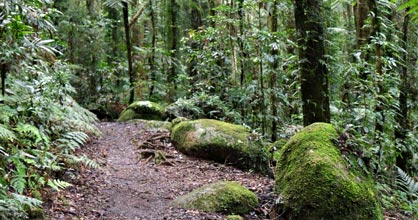 Hillside Bed & Breakfast - Tourism Brisbane 2