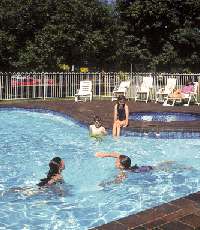 Lake Wendouree Tourist Park - Tourism Brisbane 0