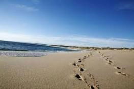 Kalbarri Palm Resort - Brisbane 4u 4