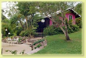 Jacaranda Cottage - Brisbane Tourism 2