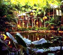 Daintree Eco Lodge And Spa - Tourism Brisbane 3