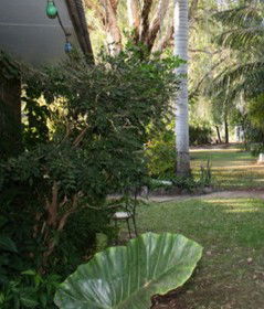 Douglas Daly Holiday Park - Brisbane Tourism 1