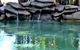 Douglas Daly Holiday Park - thumb 2