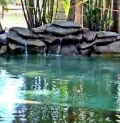 Douglas Daly Holiday Park - Brisbane Tourism 2