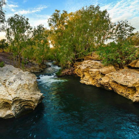 Douglas Daly Holiday Park - Brisbane Tourism 7
