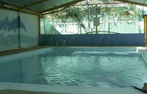 Wycliffe Well Holiday Park - Brisbane Tourism 1