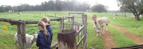 Donnybrook WA Tourism Brisbane