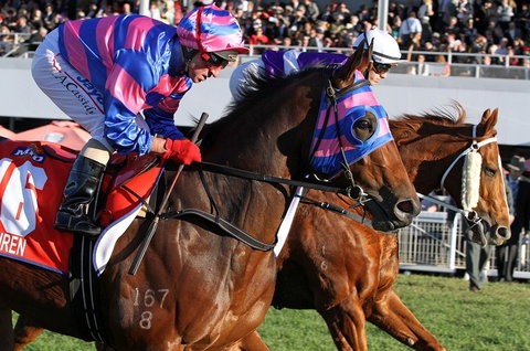 Quest Ascot - Tourism Brisbane 4