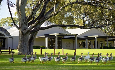 Serafino McLaren Vale - Brisbane Tourism 0
