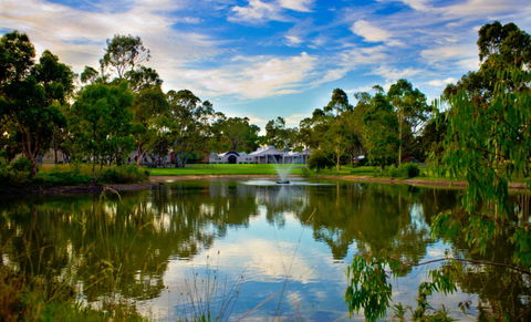 Serafino McLaren Vale - Brisbane Tourism 2