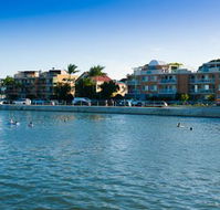 Pelicans Nestle Inn