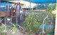 Safari Lodge Motel - thumb 1