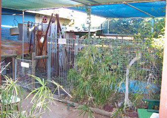 Safari Lodge Motel - Tourism Brisbane 1