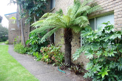 Beachfront Units Merimbula - Brisbane Tourism 3