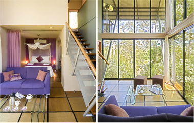 EcOasis - Tourism Brisbane 1