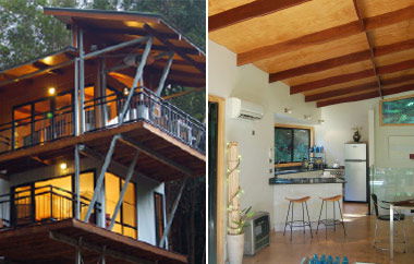 EcOasis - Tourism Brisbane 3