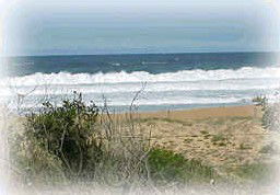 Wagstaffe NSW Brisbane Tourism