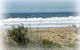 Mcgregors By The Bay - thumb 0