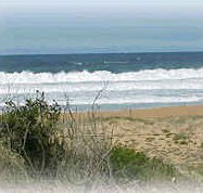Mcgregors By The Bay - Brisbane Tourism