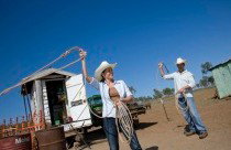 Kroombit Park At Lochenbar Station - Tourism Brisbane 3