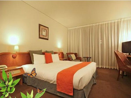 Absolute Beachfront Novotel Pacific Bay - Brisbane 4u 1