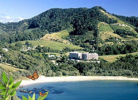 Absolute Beachfront Novotel Pacific Bay - Brisbane 4u 3
