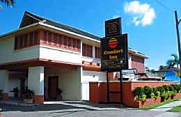 Comfort Inn The Rose - Tourism Brisbane 1