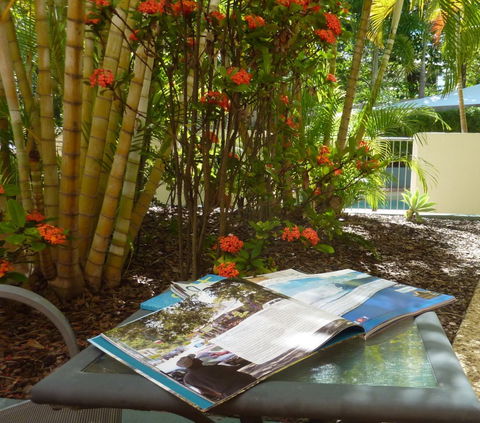 Kings Bay Apartments - Tourism Brisbane 5