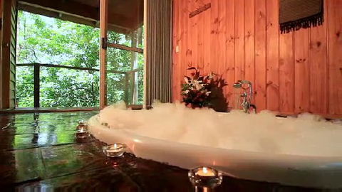 Tree Houses Of Montville - Tourism Brisbane 0