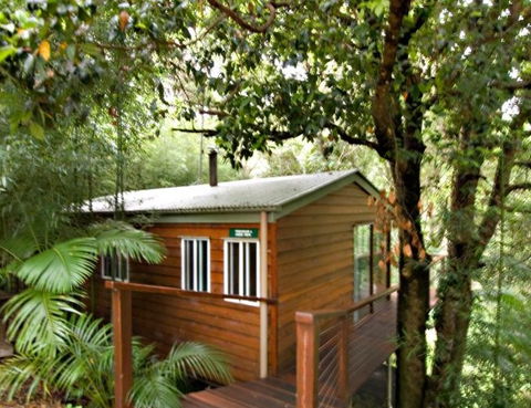 Tree Houses Of Montville - Tourism Brisbane 2