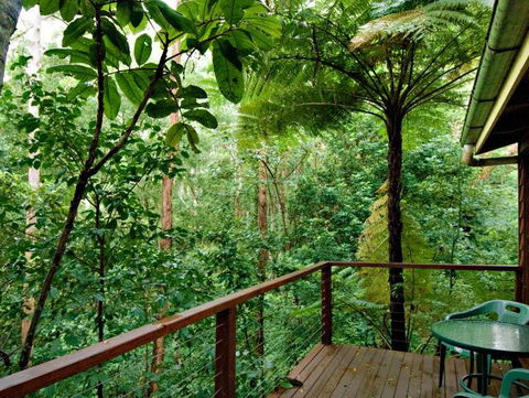 Tree Houses Of Montville - Tourism Brisbane 3
