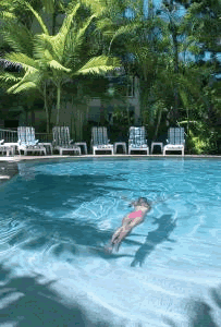 The Lookout Noosa Resort - Tourism Brisbane 7