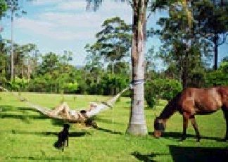 Clybucca NSW Tourism Brisbane