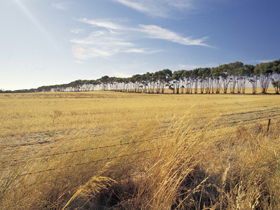 Port Wakefield Motel - Tourism Brisbane 0