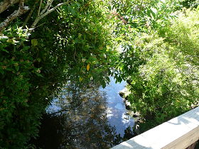 Mole Creek Hotel - Tourism Brisbane 0