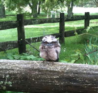 Milton Park - Tourism Brisbane