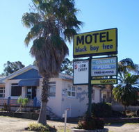 Blackboy Tree Motel - Tourism Brisbane