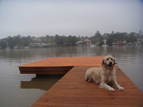 Eleven From The Left - Tourism Brisbane 0