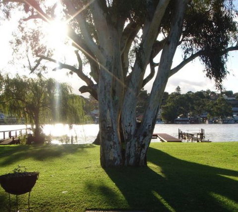 Eleven From The Left - Tourism Brisbane 1