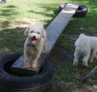 Beenleigh Pet Motel - Tourism Brisbane