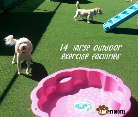 AAA Pet Motel - Brisbane 4u 2