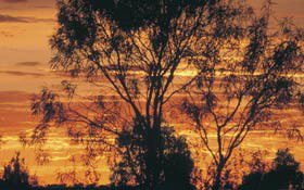 Tilmouth Well - Brisbane Tourism 0