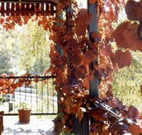 The Vines Motel amp Cottages - Tourism Brisbane