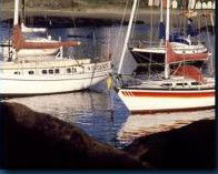 Boat Harbour Motel & Anchorage Restaurant - Brisbane Tourism 1